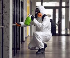 Best Mold Remediation for Vacation Homes  in Navarre, OH